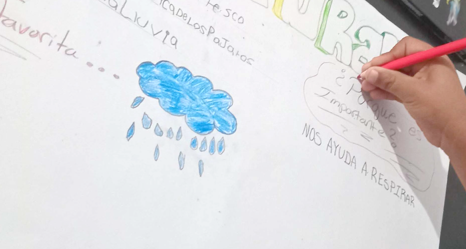 proceso de elaboracion_2